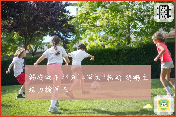 锡安砍下38分12篮板3抢断 鹈鹕主场力擒国王